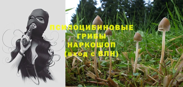 бутират Арсеньев