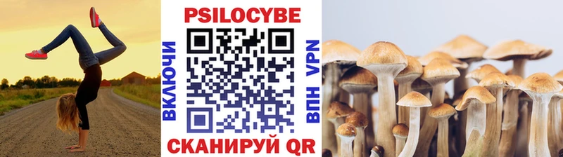 сколько стоит  Камешково  Псилоцибиновые грибы мухоморы 