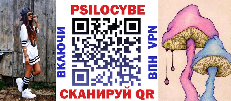 Галлюциногенные грибы Psilocybe Камешково